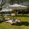 SEIR Parasol Natural Off-white Cotton
