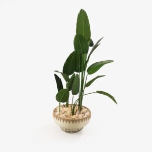 SERB Tail Pot