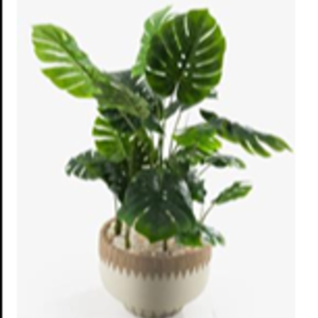 SERB Pot