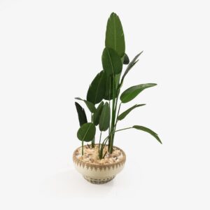 SERB Pot